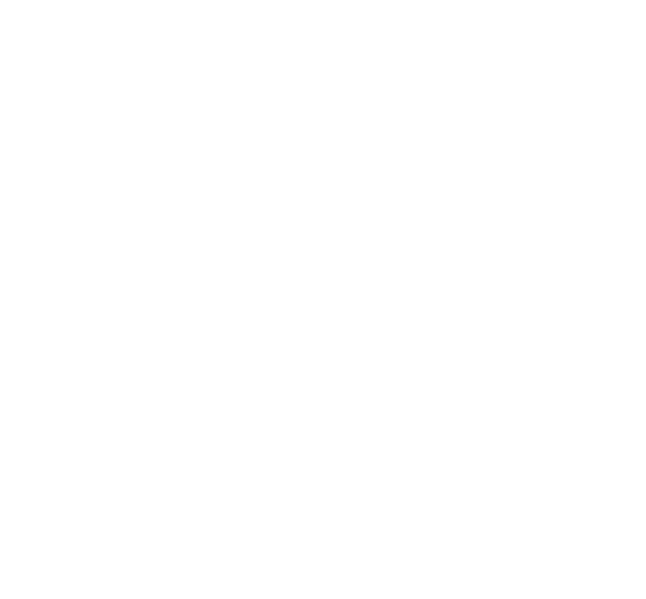 tomorrowland-logo-png_seeklogo-483361 kopiëren-1